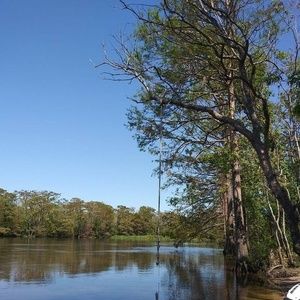 Meet your Posher, Seth